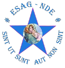ESAG-NDE